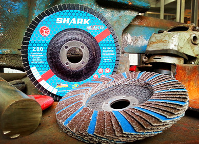 combined flap discs